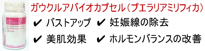 �K�E�N���A�o�C�I�J�v�Z��(�v�G�����A�~���t�B�J)���T�C�g